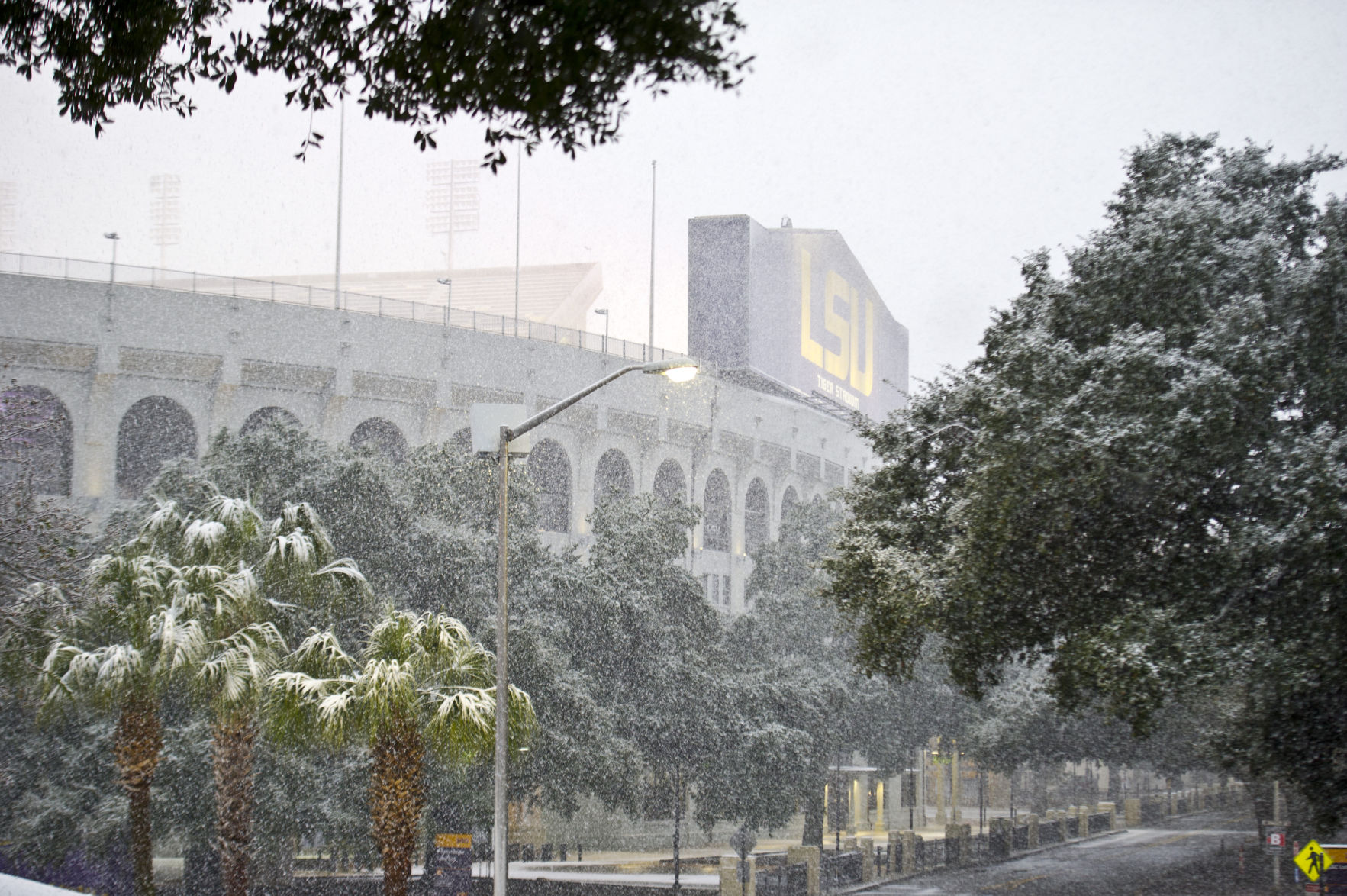BR.snowdayjb 002.JPG